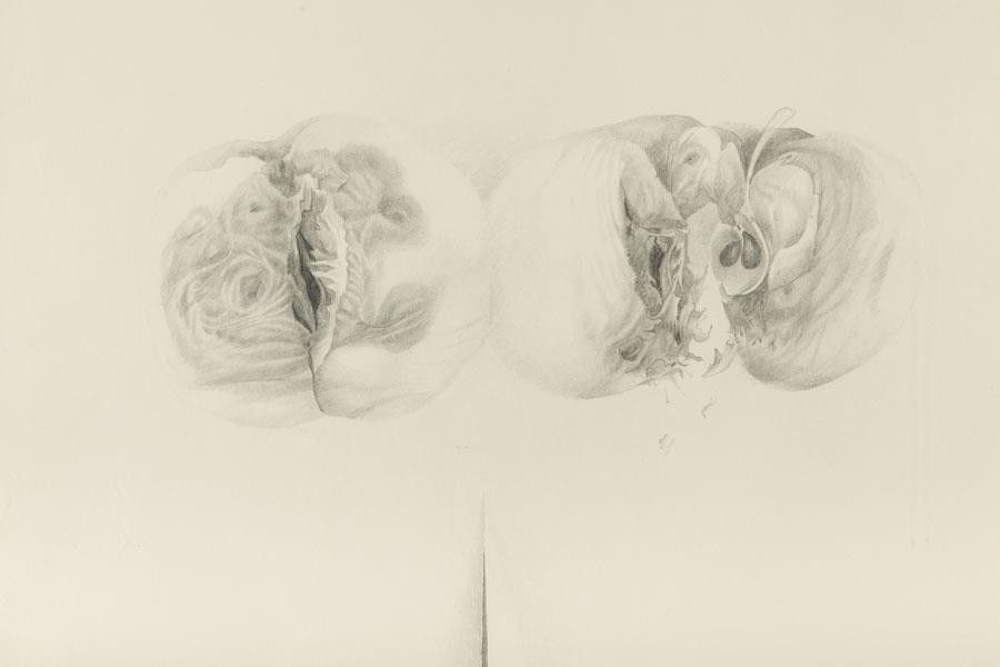 Artwork by Leszek Rózga, Rotten apples with a cut, Made of pencil on paper