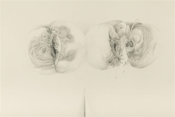 Rotten apples with a cut by Leszek Rózga, 1976