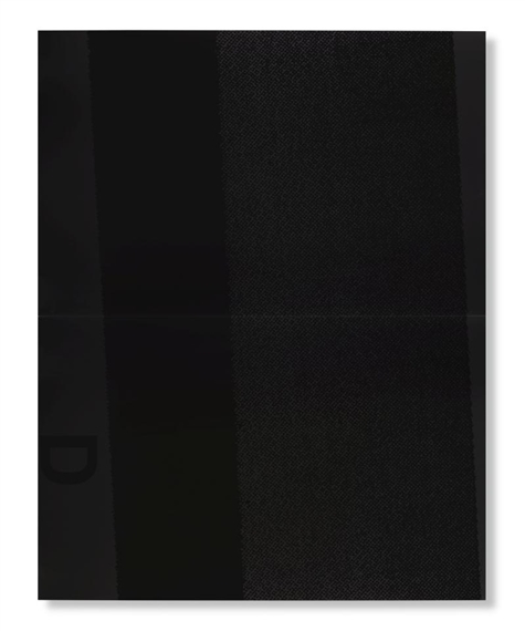 2 Works: Black Dada by Adam Pendleton, 2013