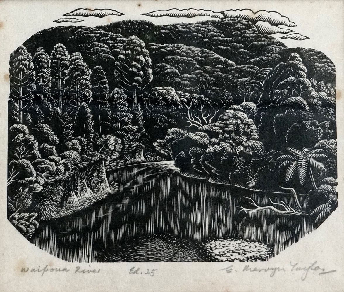 Waipoua River by E. Mervyn Taylor