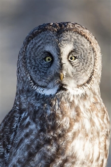 Celebrated Hay River Photographer Adam Hill says Goodbye to the North