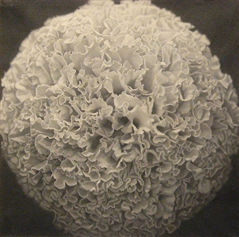 Graphite Works - Taka Ishii Gallery, New York
