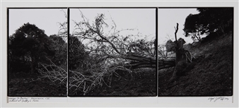 Two works: Homage to Baxter VIII, Resonance VIII, Orchard at the Duffy 's Farm;  Homage to Baxter XIX, Panorama of Matukituki Valley with a Rasberry Hut - Lloyd Godman
