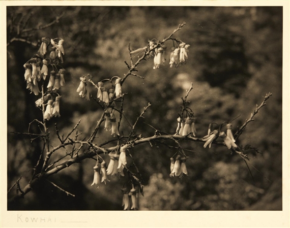 Six works: New Zealand Landscape Scenes - R.J. Searle