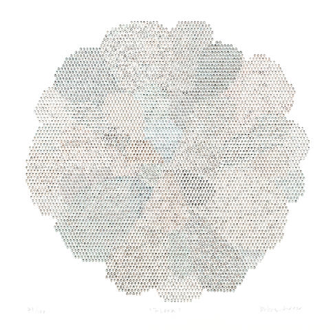 Flower (Floor) by Do Ho Suh, 2002