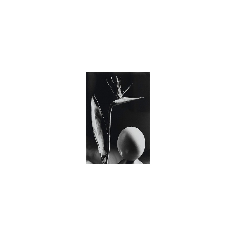 Man Ray | Rrose Selavy (Marcel Duchamp) | MutualArt