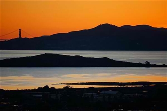 In the Artist Salon - San Francisco Women Artists (SFWA)