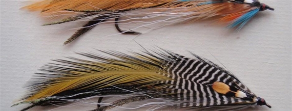 Karlos Gil: No Fish. Snake Scale - Garcia Galeria