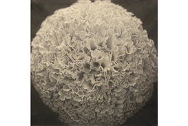 Taka Ishii Gallery New York Opens Summer Group Show