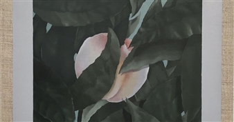 Summer - Patron Gallery