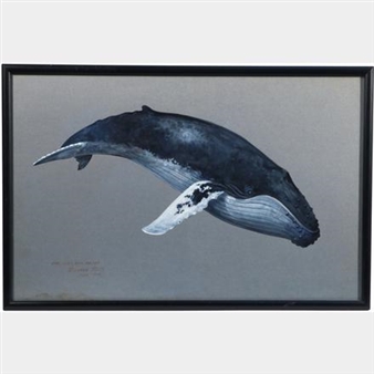 A realistic painting of a large whale swimming against a muted grey background.