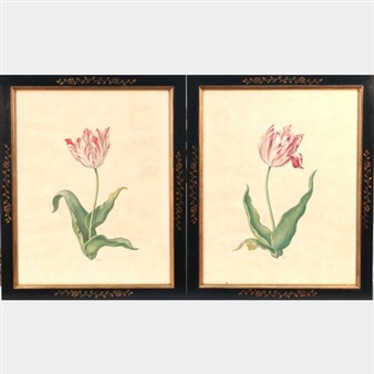 2 works: Dutch tulip - Owen Turville