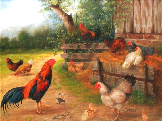 102 Wallpaper Gambar Unggas Gratis