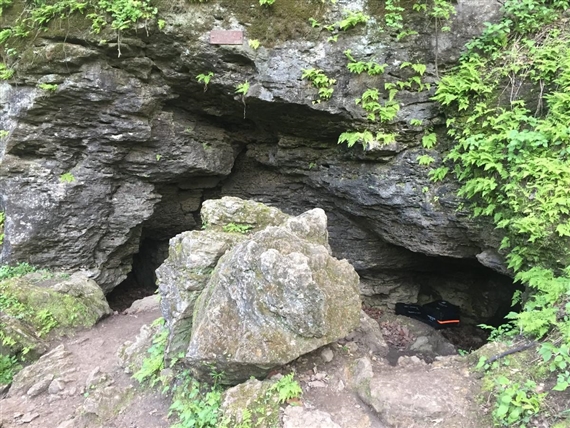 Daniel G. Baird - Eli & Edythe Broad Art Museum at Michigan State University