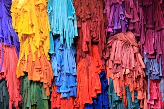 Michelle Sirois-Silver and Katherine Soucie: Regeneratus - Seymour Art Gallery