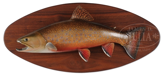 TROUT TROPHY MOUNT - David Brook