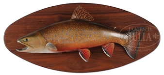 TROUT TROPHY MOUNT - David Brook