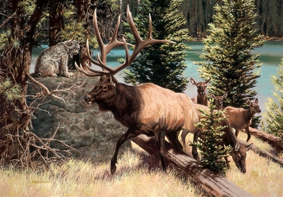 The Parade by Tom Beecham