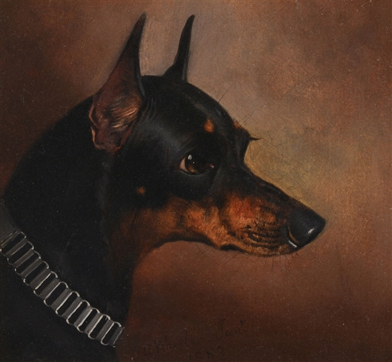 Head study of a Manchester Terrier by Alfred Wheeler, 1882