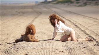 Am I an animal? - Museum Het Domein (Kapittelstraat 6)