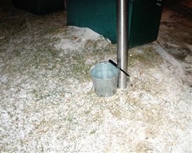 Koki Tanaka (Japanese, 1975)