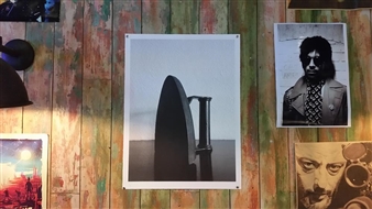 Raydale Dower: The Gift - Worm: Peacock