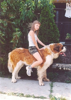 Caring For Animals…Benefiting People - Jeffrey Stark