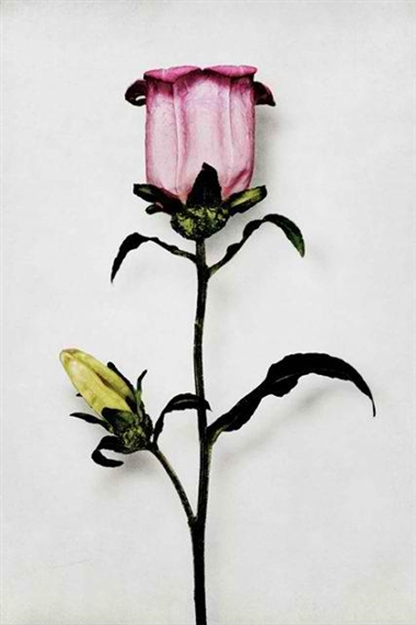 Group Show - The Empty Quarter Gallery