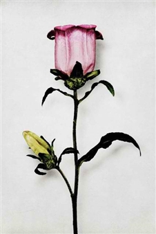 Group Show - The Empty Quarter Gallery