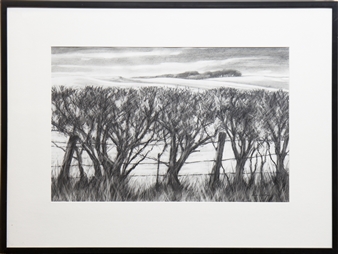 WINTER HEDGEGROW - Ken Grierson