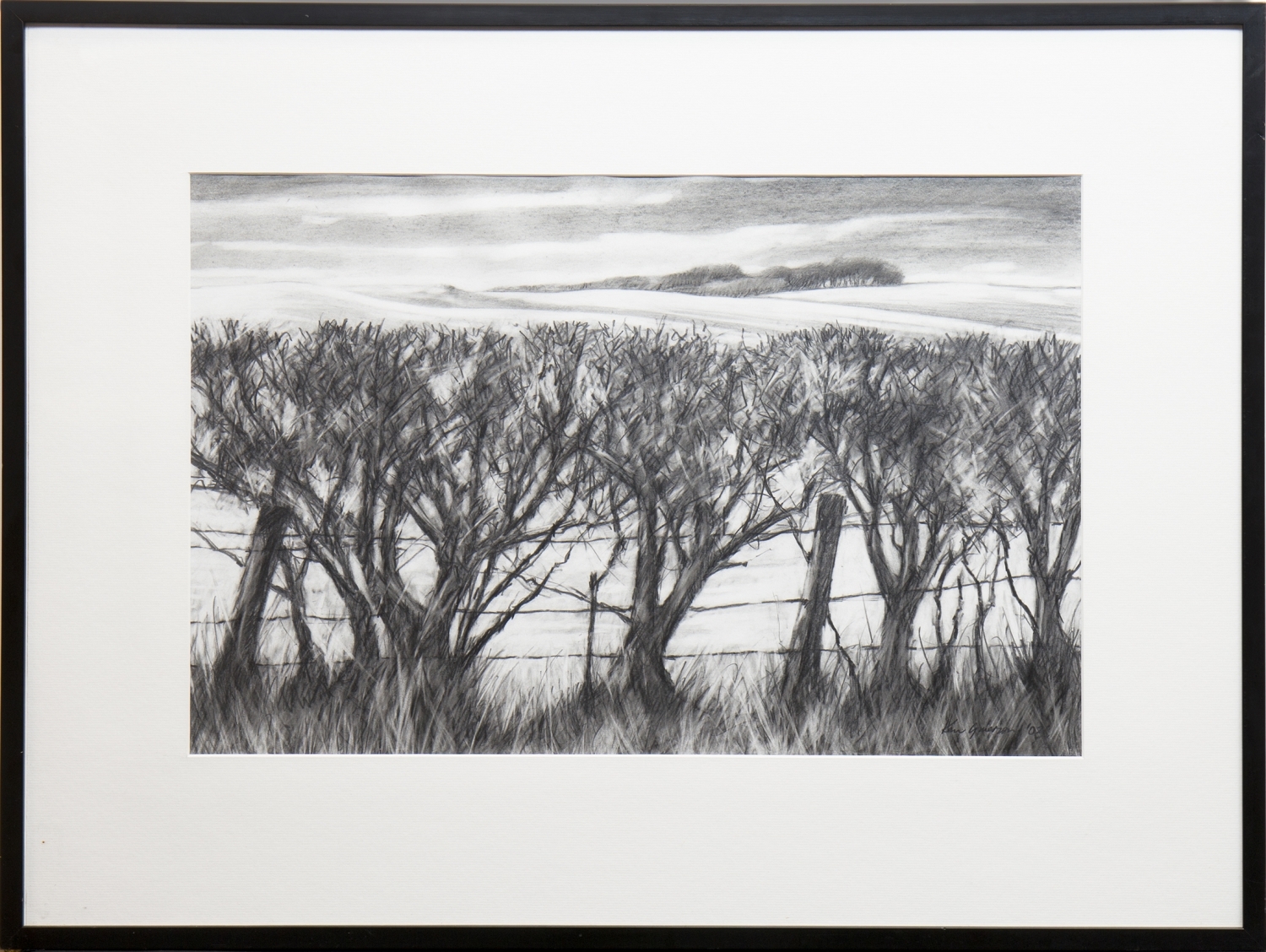 Artwork by Ken Grierson, WINTER HEDGEGROW, Made of graphite on paper