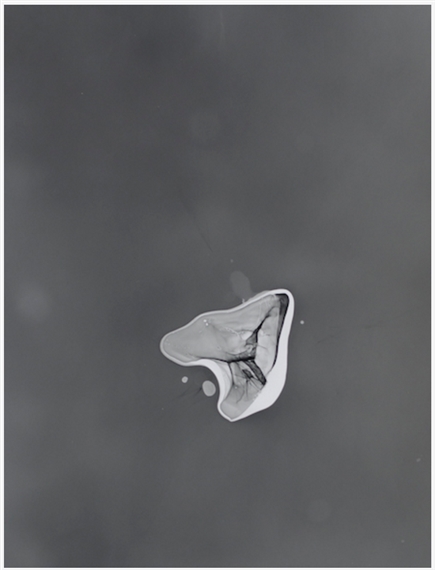 Hans Rosenström - Helsinki Contemporary