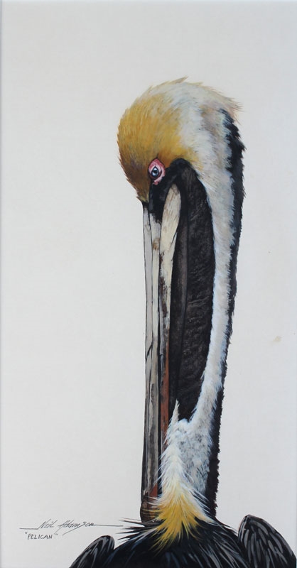 Neil Adamson | Pelican | MutualArt