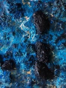 Ed Nash: Terrain - Customs House Museum & Cultural Center