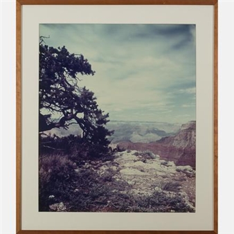 Grand Canyon - Marcia C. Sheer