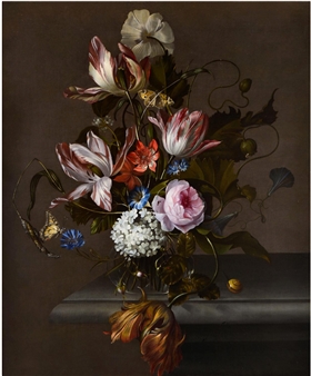 Coveting Nature: Art, Collecting, and Natural History in Early Modern Europe - Krannert Art Museum and Kinkead Pavilion
