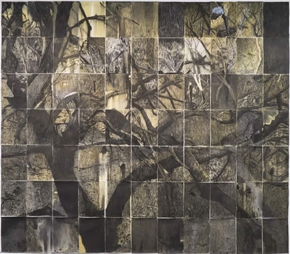 Gregory Pryor: Looking Glass - Art Gallery of Western Australia