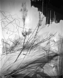 In Her Intoxicating Photographs, Lauren Semivan Lets the Seams Show