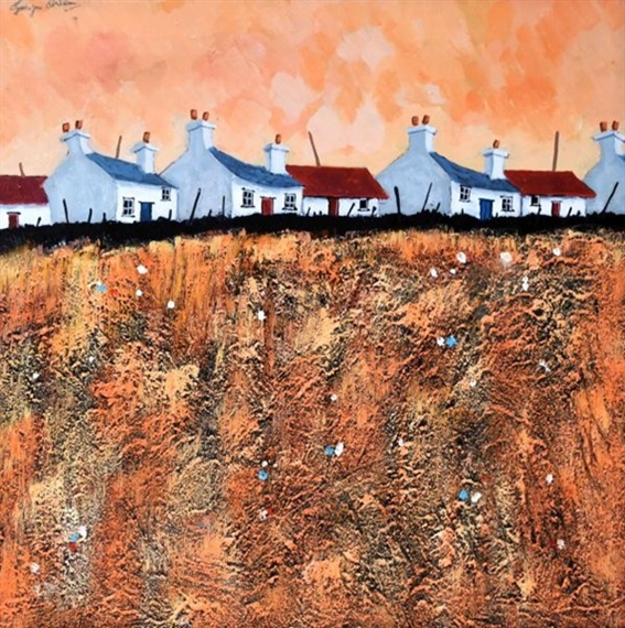 A row of whitewashed Welsh cottages by Gwyn Owen