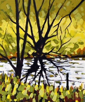 Aberglaslyn Pool - Gwyn Owen