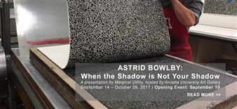 Astrid Bowlby: When the Shadow is Not Your Shadow - Arcadia University Art Gallery