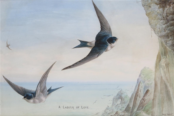 A labour of love by Harry Bright