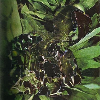 Fabric of the Particular - Elephant Art Space