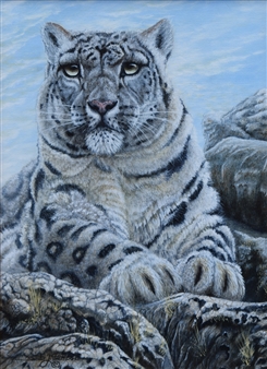 Snow Leopard - David Prescott