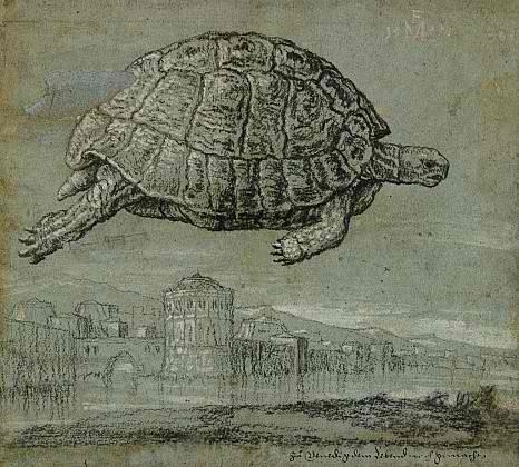 Lines of Thought: Drawing from Michelangelo to Now From the British Museum - RISD Museum