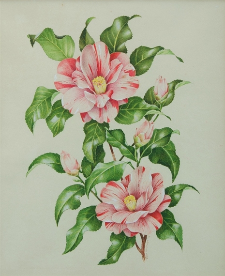 Peter Longhurst | Flowers (1973) | MutualArt
