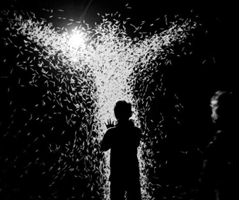 XYZT: A Journey in 4 Dimensions - Peabody Essex Museum