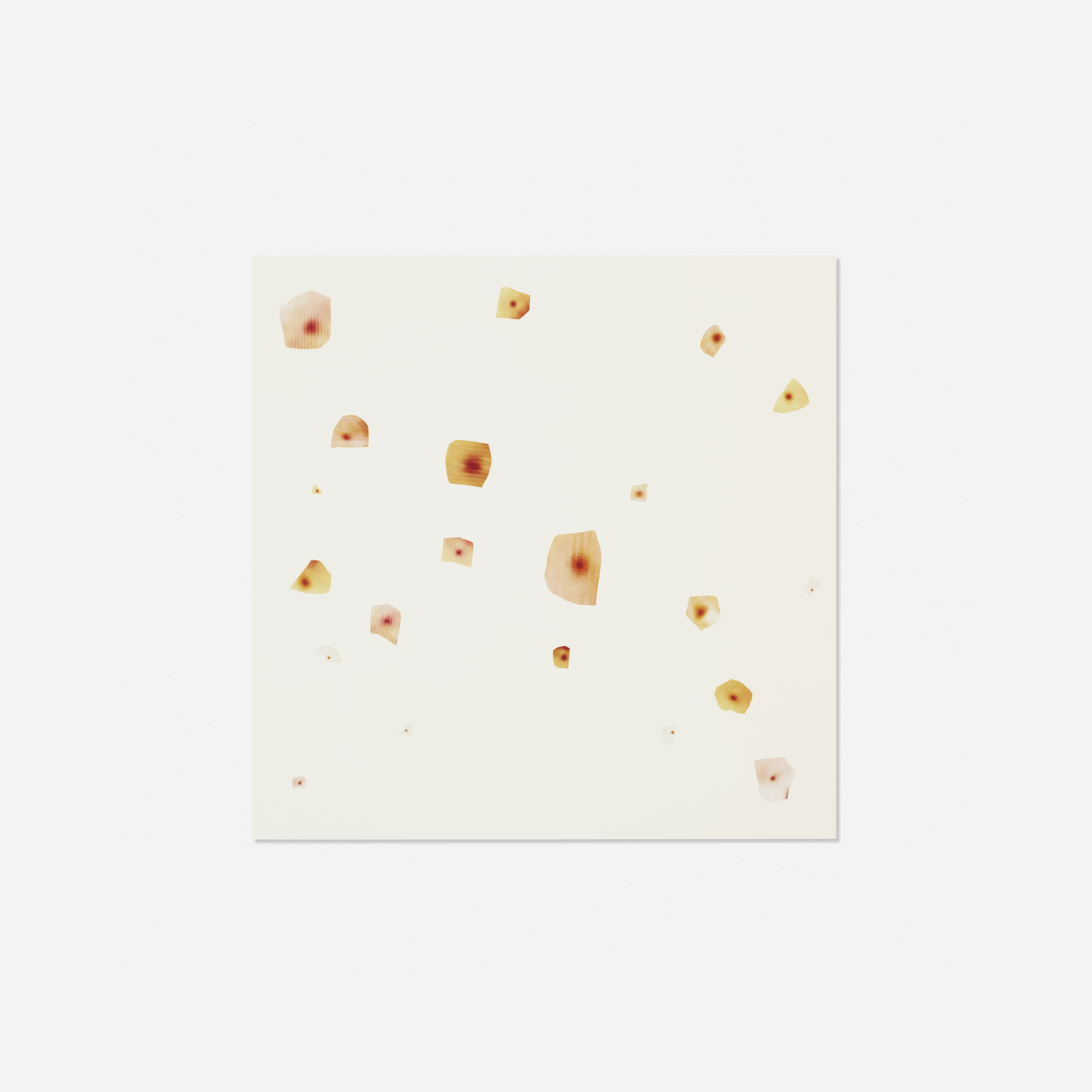 Artwork by John Waters, 21 Pasolini Pimples, Made of c-prints collaged on paper