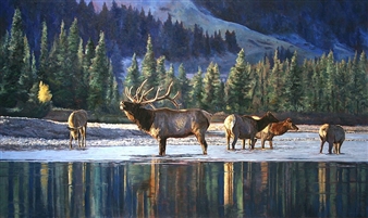 Call of the Wild - Linda Besse