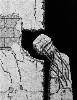 LA/LA: A Celebration Beyond Borders - Lois Lambert Gallery